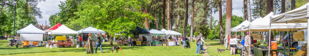 Photo of people shopping and walking their dogs around a park with pine trees and white tents. A photo of the Browne's Addition Farmer's Market.